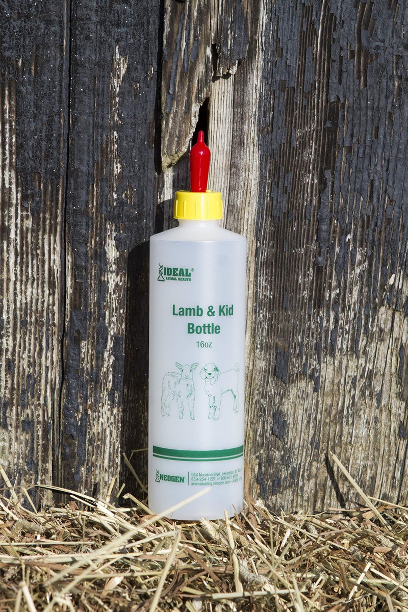 Neogen Ideal 7004 Lamb & Kid Bottle 16oz w/Red Screw-On Teat - Image 2